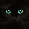 igodezin's Avatar